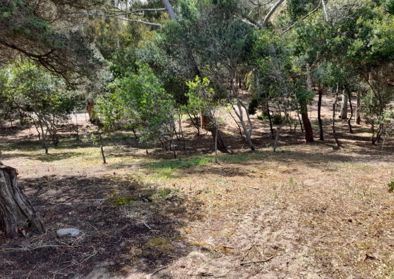 Casa KIA - Villetta bifamiliare a 300 mt dal mare Valledoria  Esterno foto